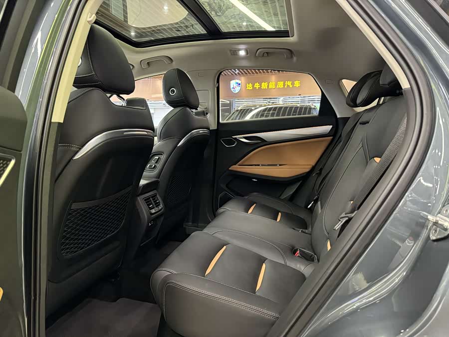 GEELY Tugella New Energy 2019 car image #10