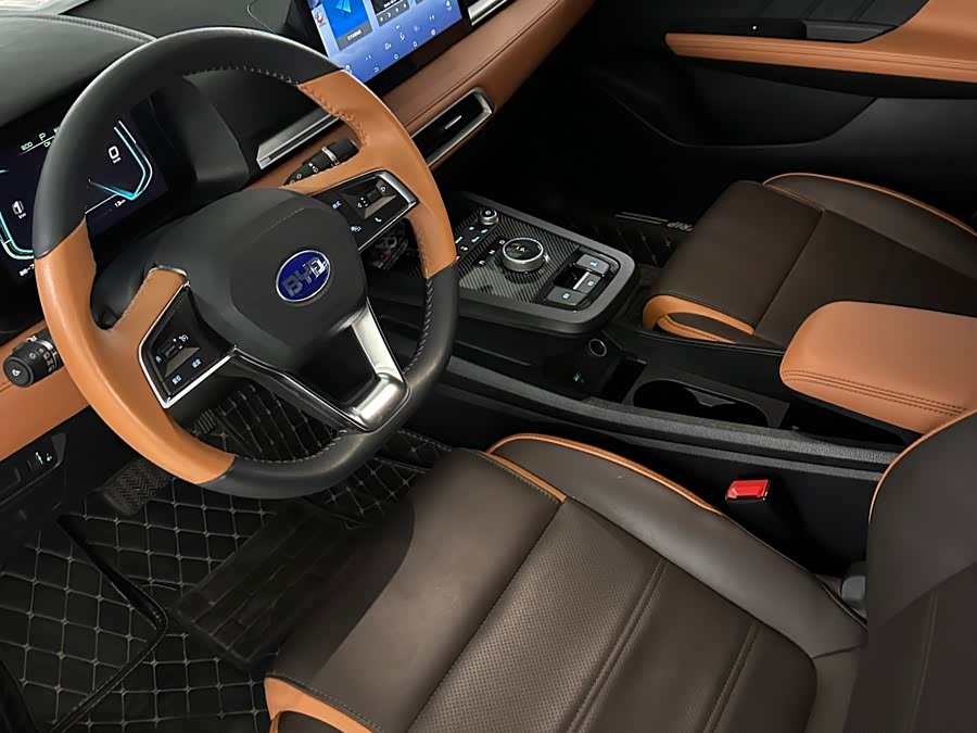 BYD e2 2020 #10 BYD e2 2020 immagine di auto #10