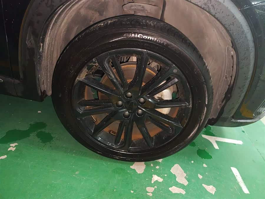 GEELY Tugella New Energy 2021 car image #10