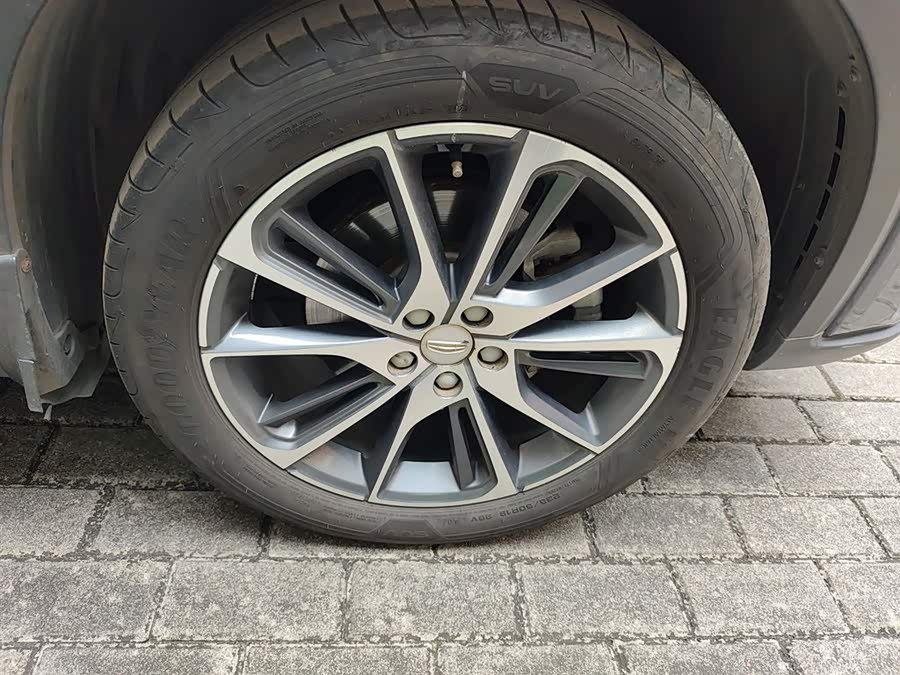 GEELY Tugella New Energy 2019 car image #10