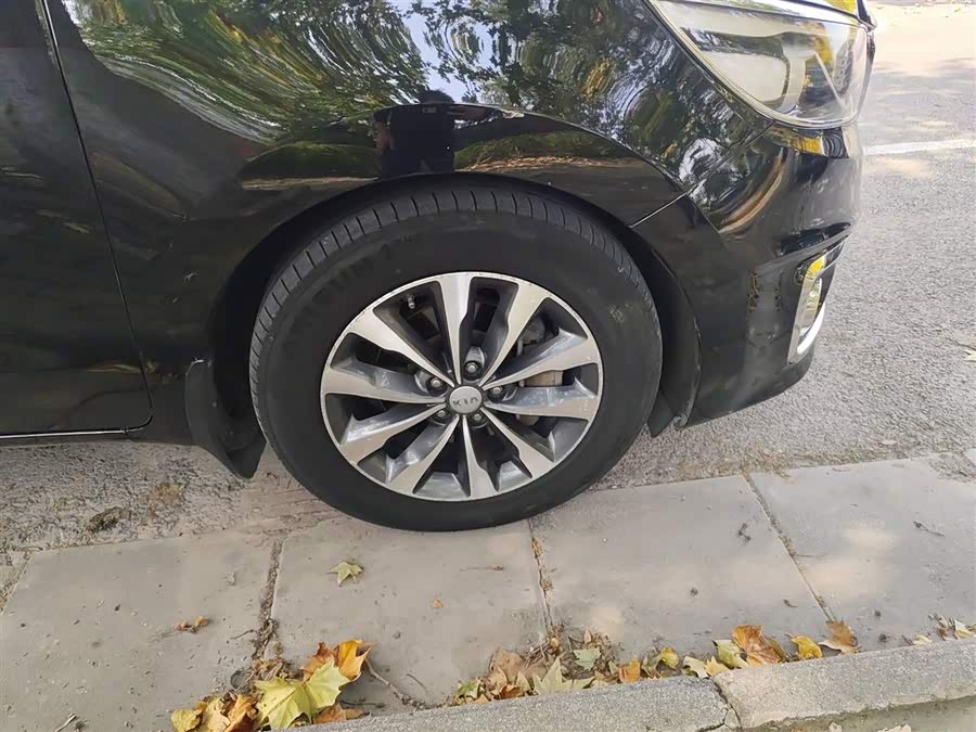 Kia Carnival (Imported) 2016 car image #10