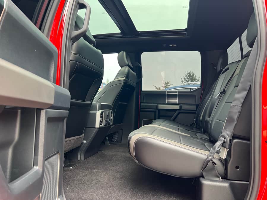 Ford F-150 Raptor 2019 car image #10