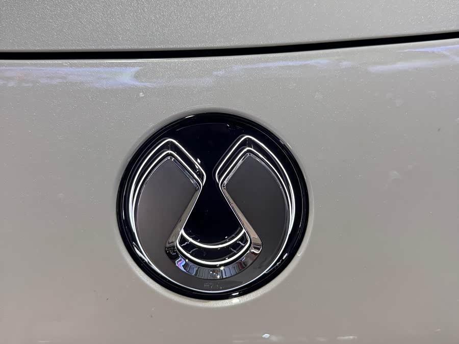 Denza Z9GT 2023 immagine di auto #10