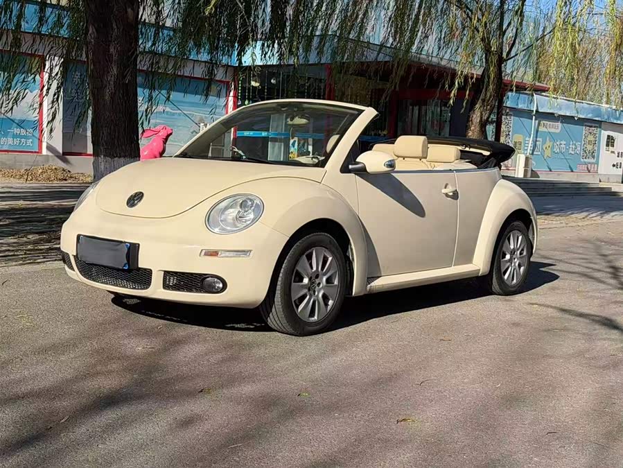 Volkswagen Beetle 2010 immagine di auto #10