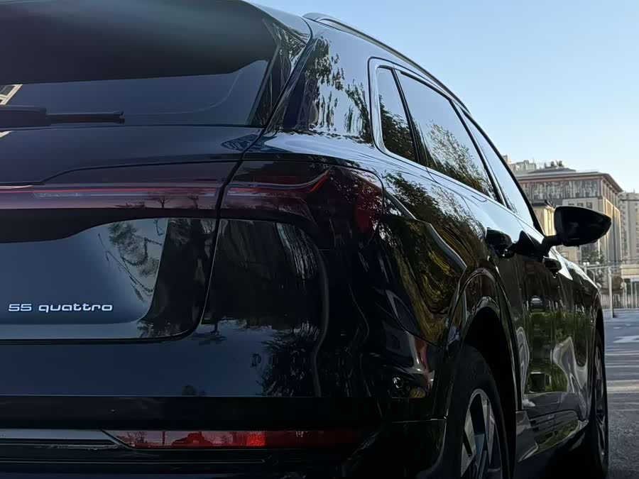 Audi e-tron (Imported) 2022 car image #10