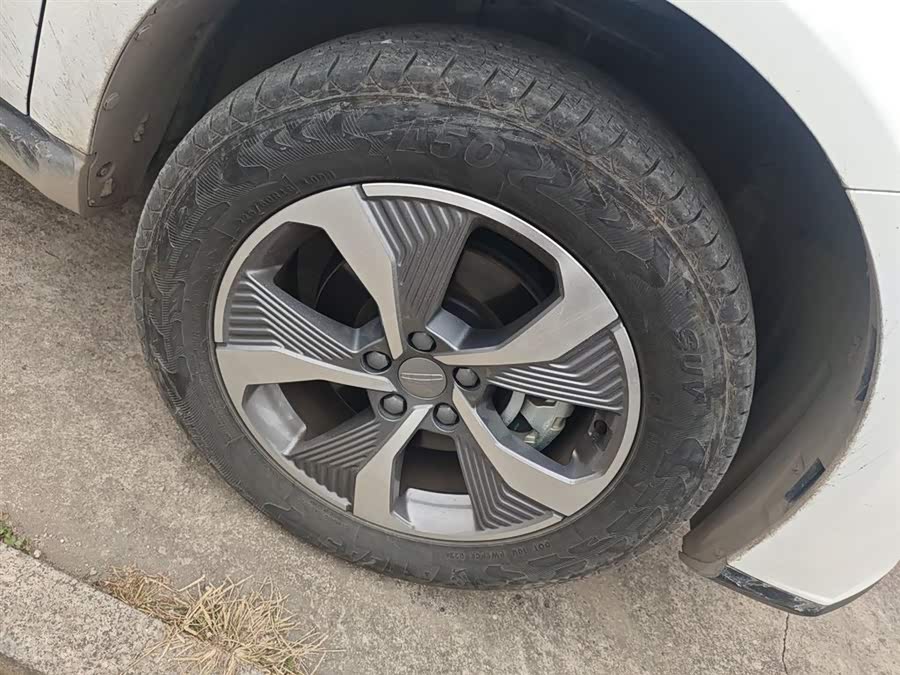 GEELY OkavangoPRO 2024 car image #10