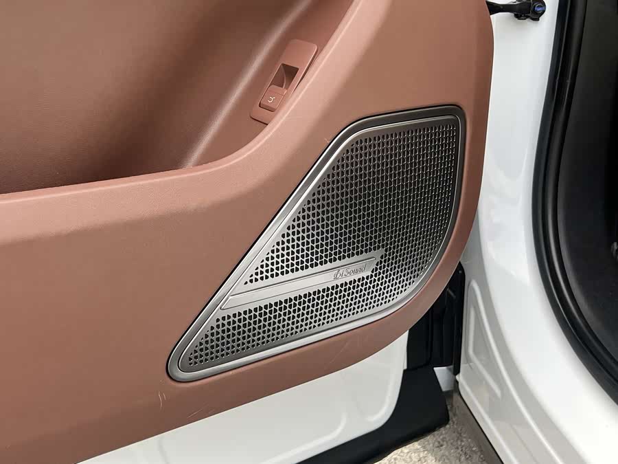 BYD Xia 2024 صورة سيارة #10