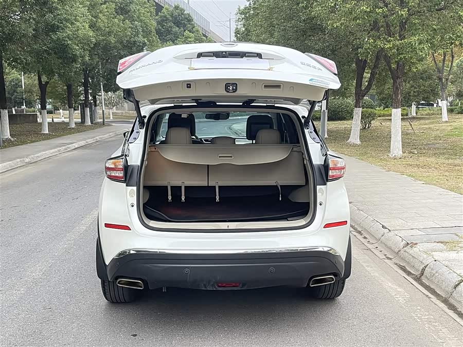 日产 楼兰 2016 汽车图片 #10