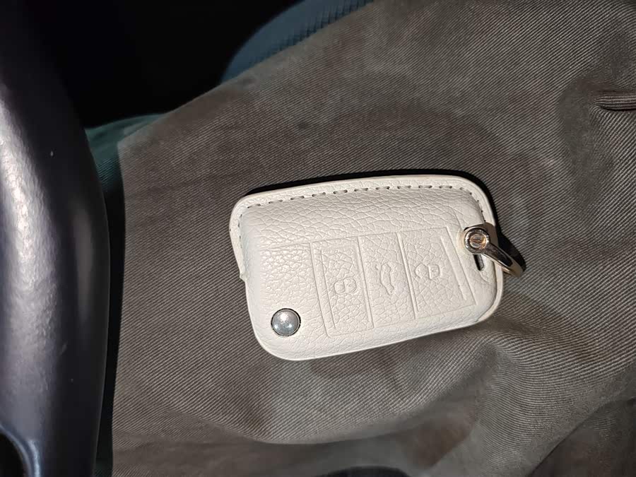 Volkswagen Golf Pure Electric 2020 car image #10