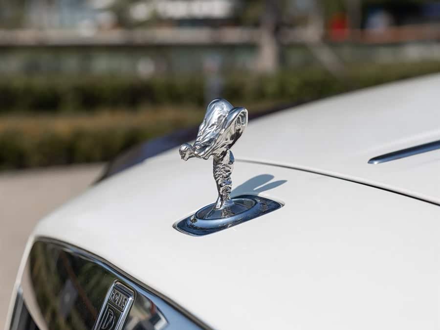 Denza Wraith 2018 immagine di auto #10