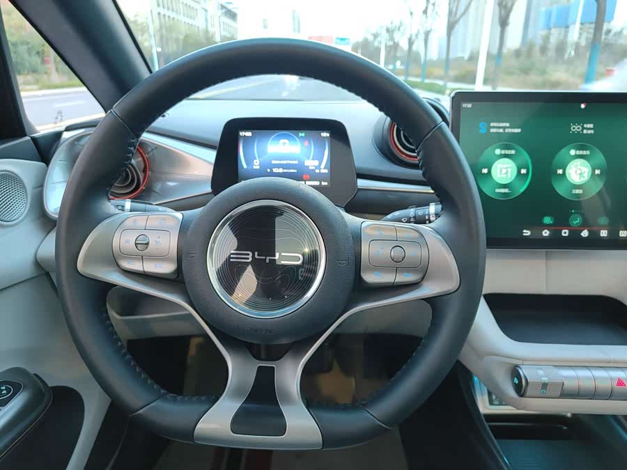 比亚迪 海豚 2022 汽车图片 #10