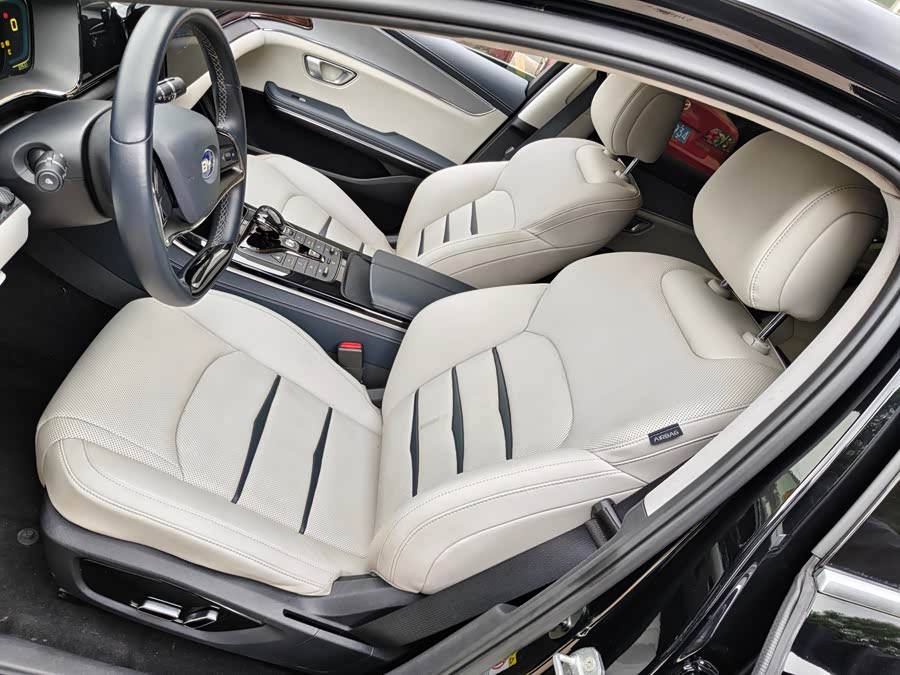 BYD e9 2021 #10 BYD e9 2021 car image #10