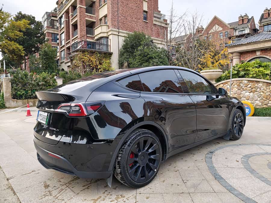Tesla Model Y 2021 car image #10