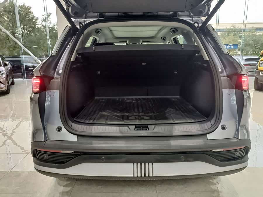 BYD Sea Lion 05 DM-i 2025 car image #10