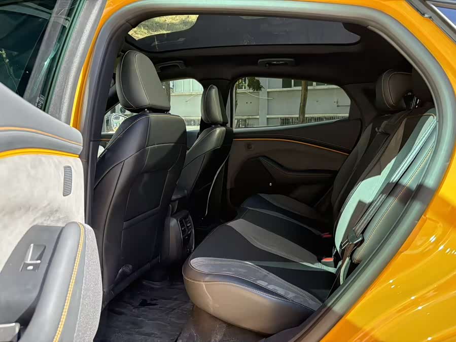 Ford Mustang Mach-E 2024 car image #10