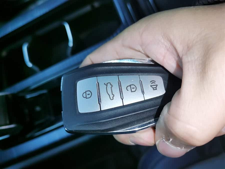 睿蓝汽车 睿蓝9 2023 汽车图片 #10