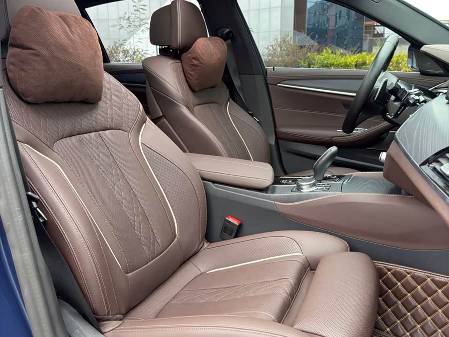 BMW 5 Series 2022 car image #10