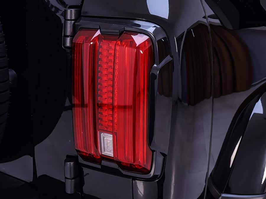 Tank 300 2024 car image #10