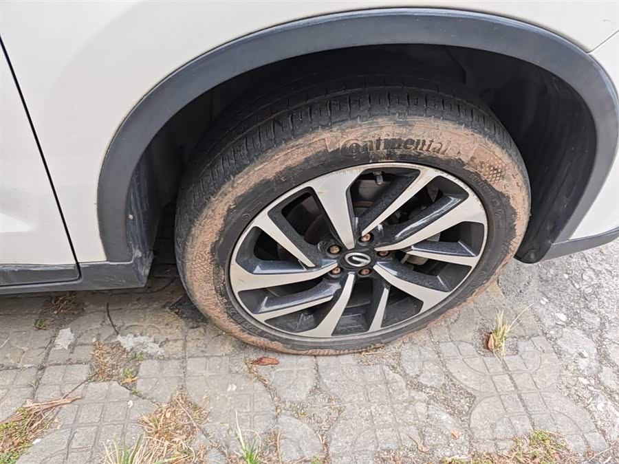 GAC Qizhi PHEV 2018 immagine di auto #10