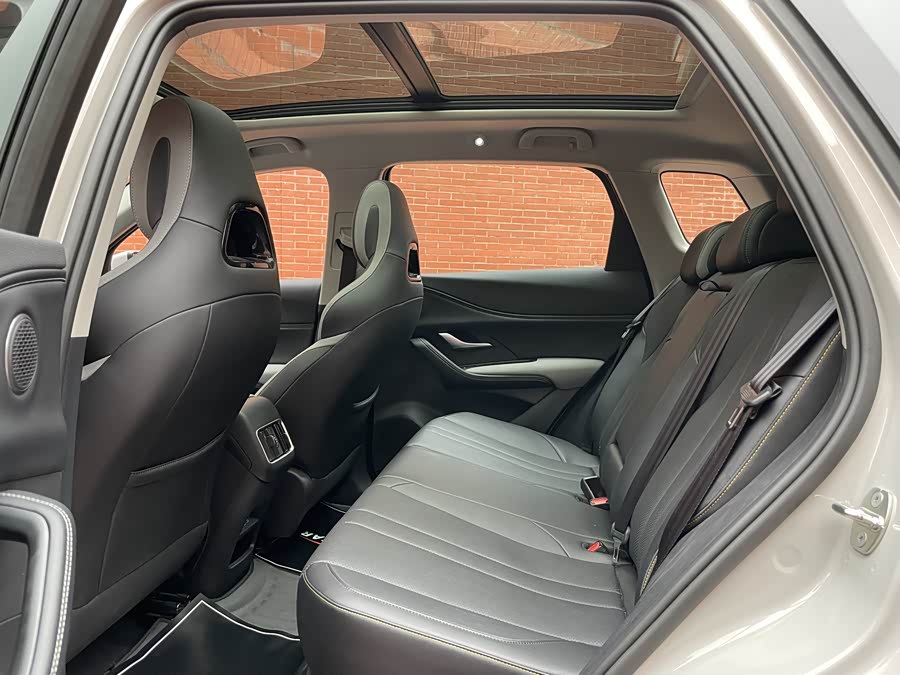 BYD Sea Lion 05 DM-i 2025 car image #10