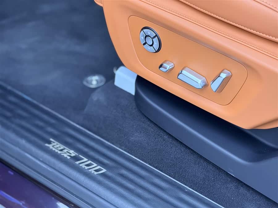 Tank 700 New Energy 2024 imagen de coche #10