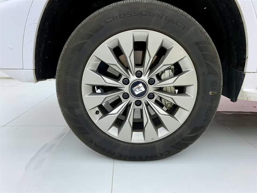 Tank 500 New Energy 2024 immagine di auto #10