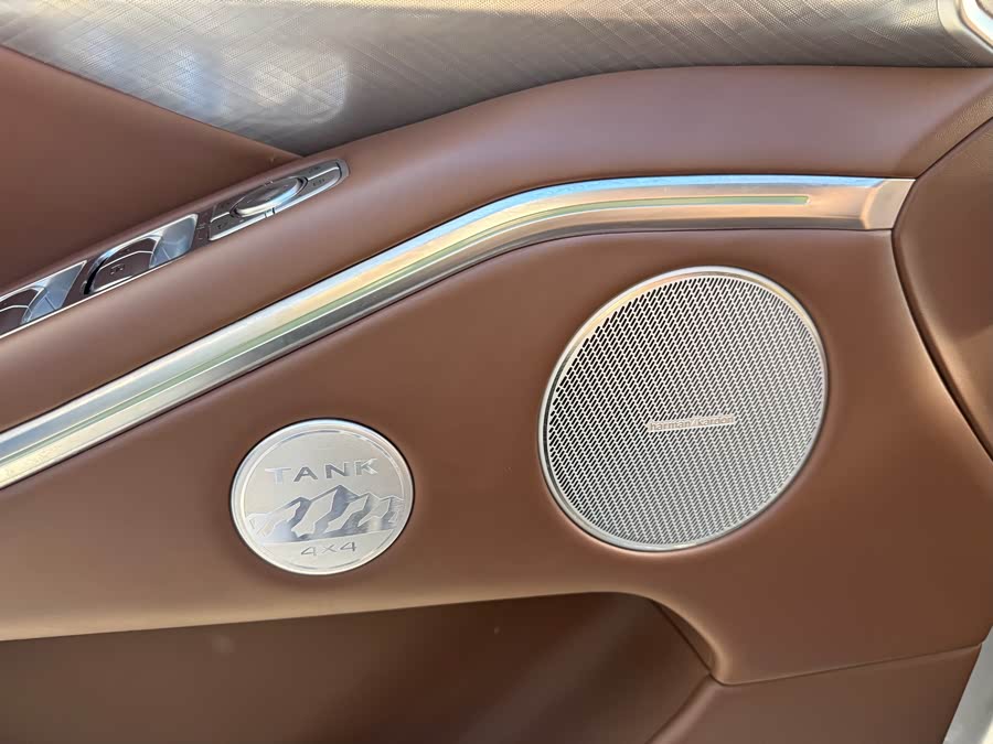 Tank 700 New Energy 2025 #10 Tank 700 New Energy 2025 immagine di auto #10