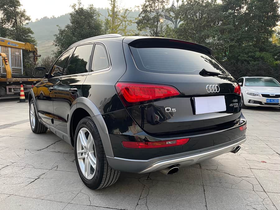 Audi Q5 2018 car image #10