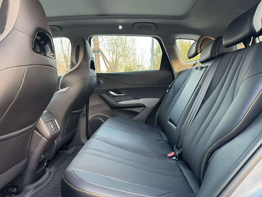 BYD Sea Lion 05 DM-i 2025 car image #10