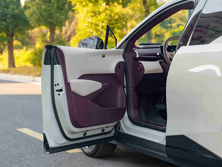 Zeekr X 2024 #10 Zeekr X 2024 car image #10