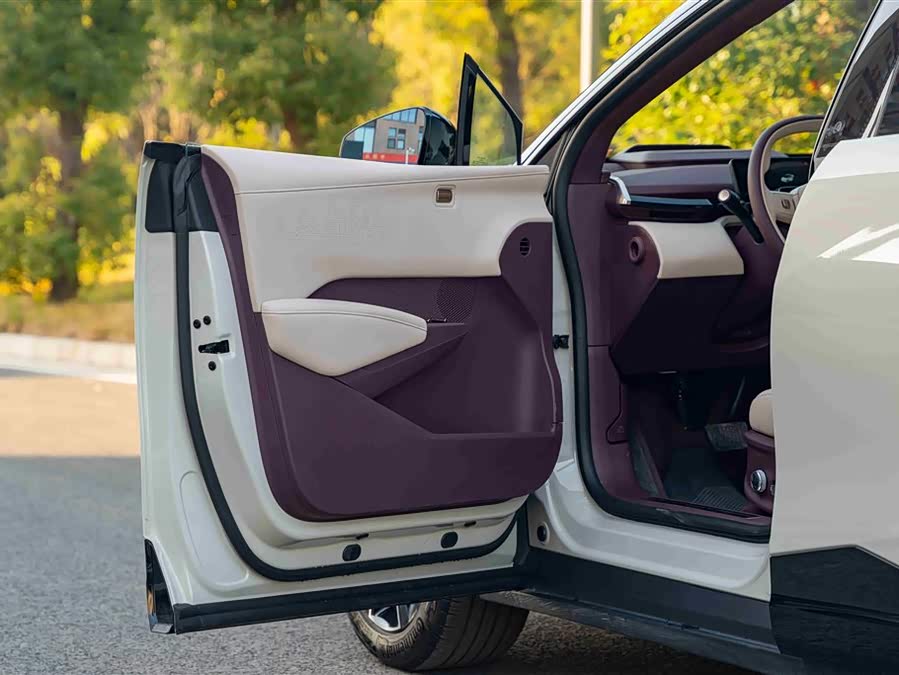 Zeekr X 2024 car image #10