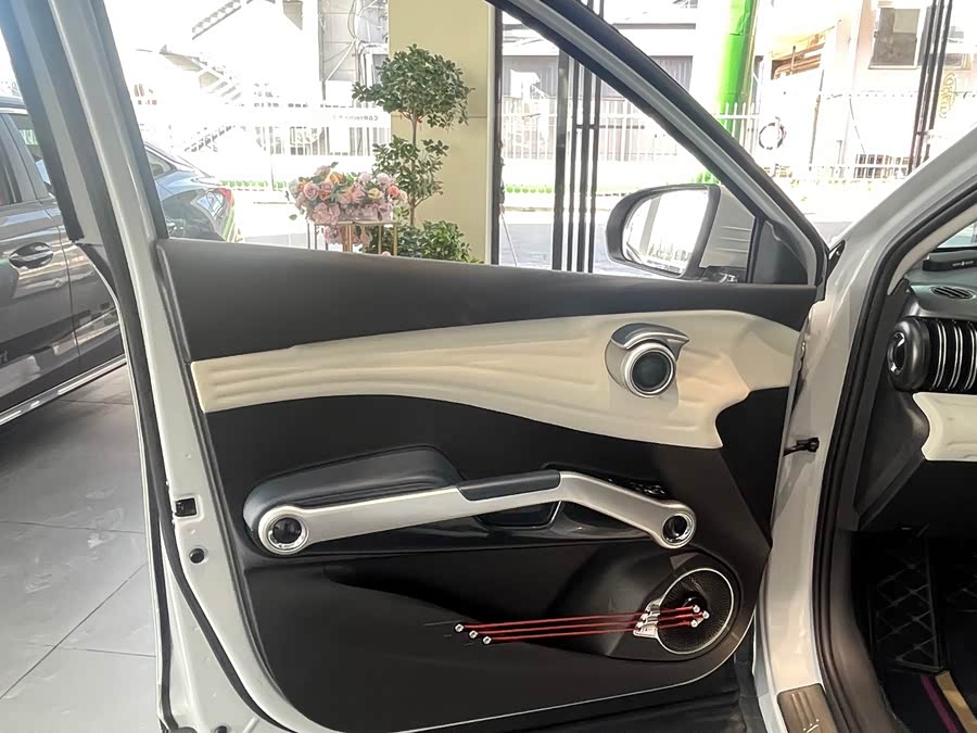 BYD Yuan Plus 2022 car image #10