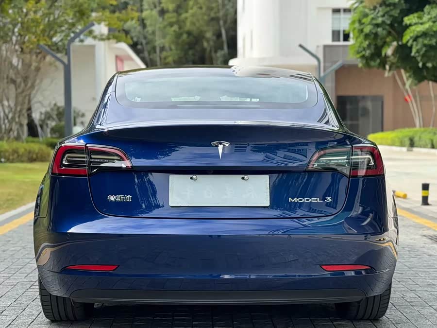 Tesla Model 3 2020 #10 Tesla Model 3 2020 صورة سيارة #10