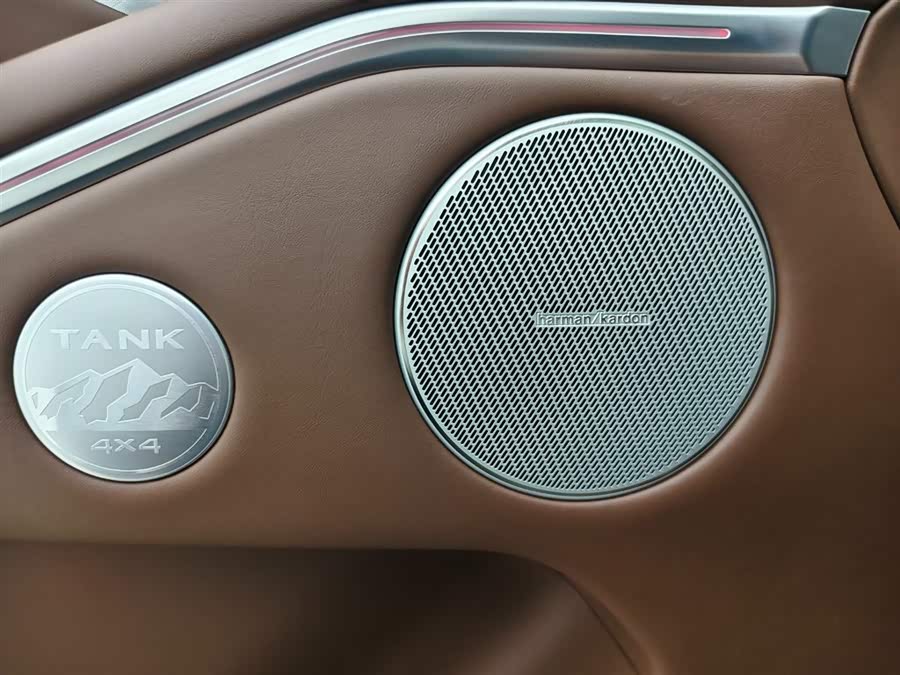 Tank 700 New Energy 2024 #10 Tank 700 New Energy 2024 immagine di auto #10