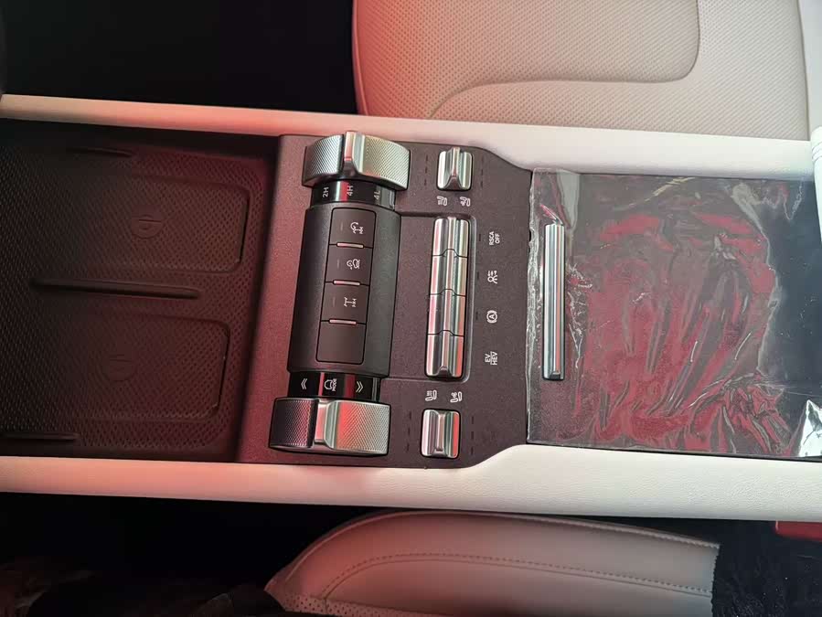 Tank 300 New Energy 2025 car image #10