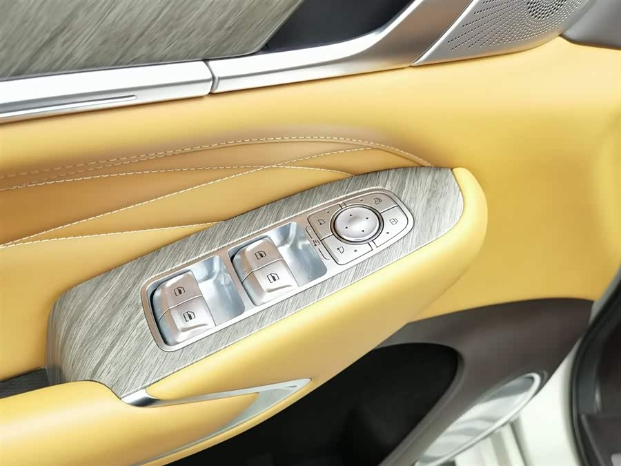 Tank 500 2022 car image #10