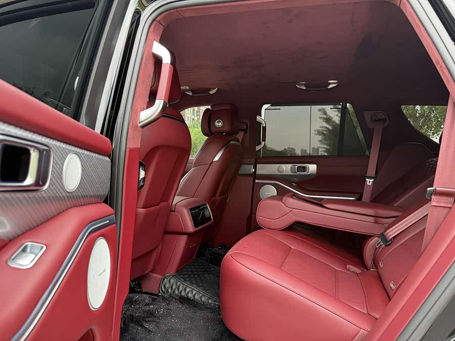 Tank 700 New Energy 2024 car image #10