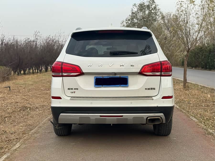哈弗 哈弗H6 2018 汽车图片 #10