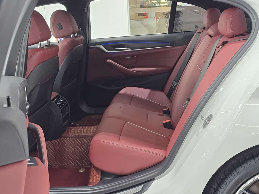BMW 5 Series 2021 car image #10