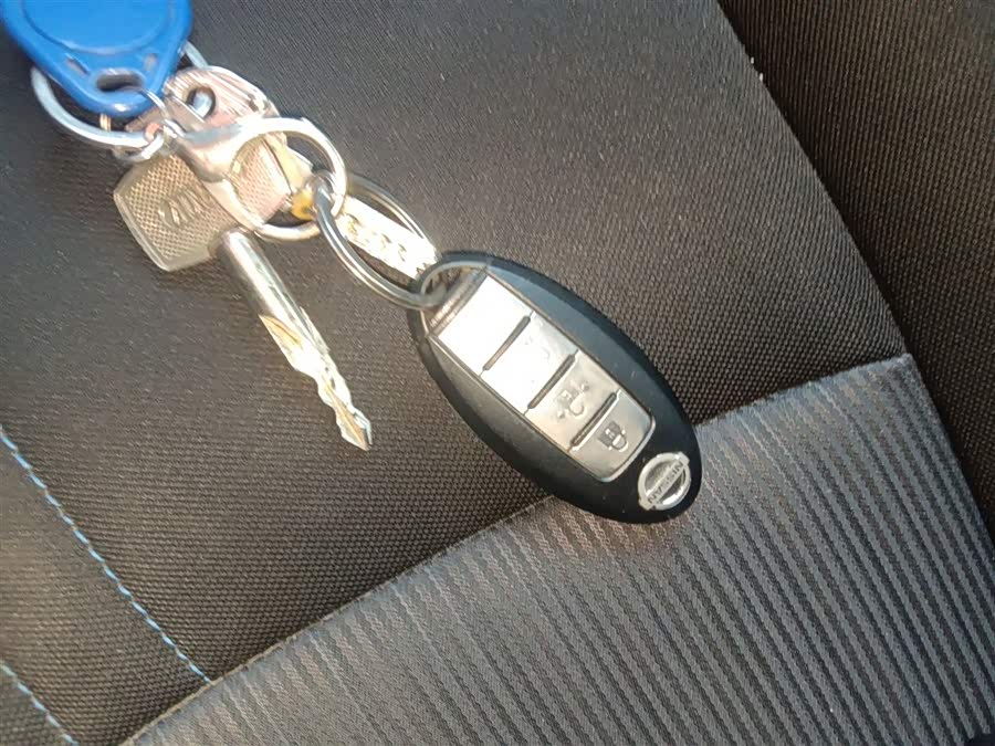 日产 轩逸·纯电 2019 汽车图片 #10