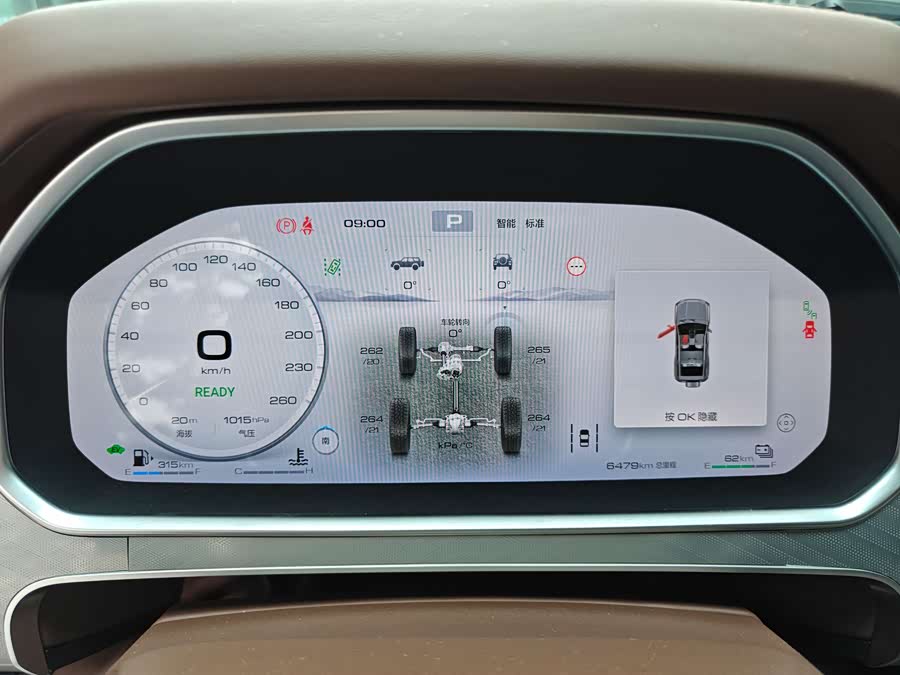 Tank 700 New Energy 2025 #10 Tank 700 New Energy 2025 immagine di auto #10