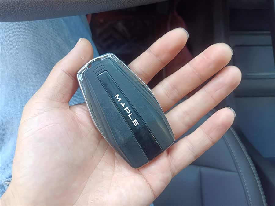 睿蓝汽车 枫叶80v 2021 汽车图片 #10