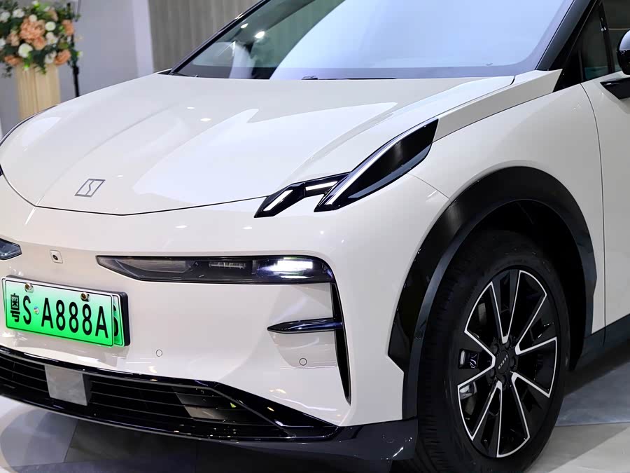 极氪 极氪X 2024 汽车图片 #10