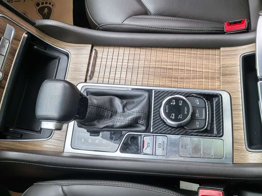 Roewe RX8 2019 изображение автомобиля #10