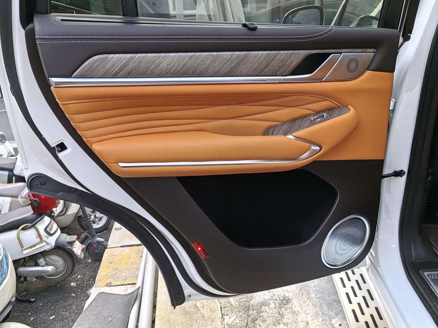 Tank 500 New Energy 2024 immagine di auto #10