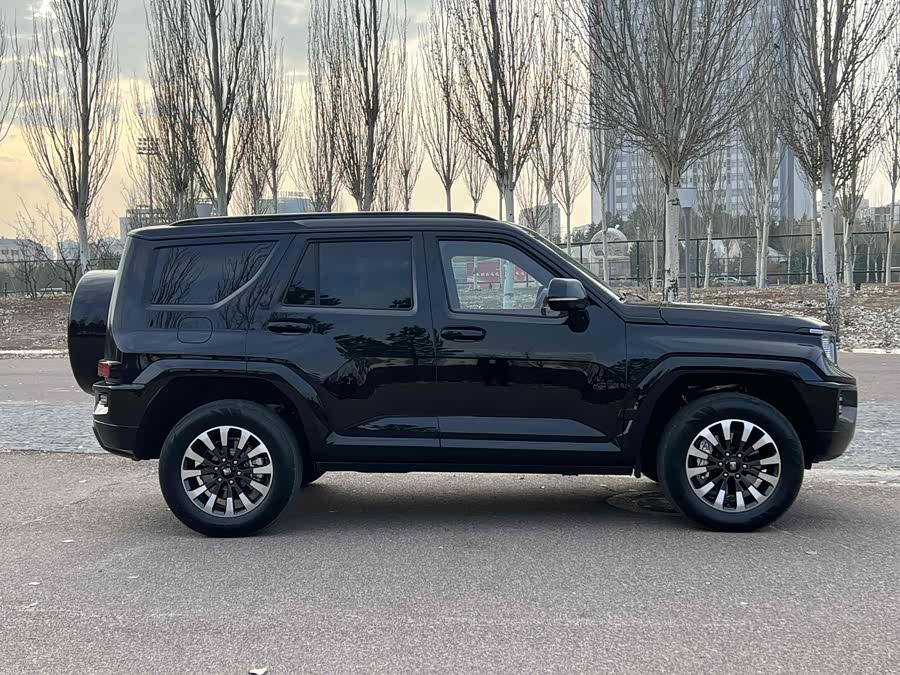 Tank 700 New Energy 2025 immagine di auto #10