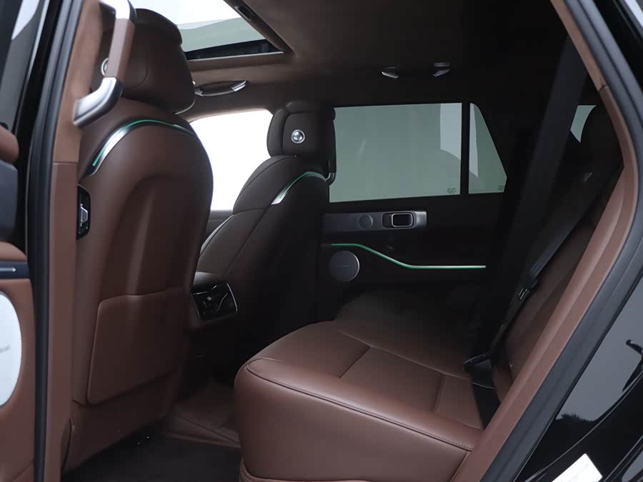 Tank 700 New Energy 2024 #10 Tank 700 New Energy 2024 immagine di auto #10