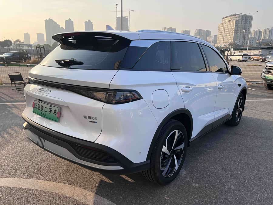 BYD Sea Lion 05 DM-i 2025 #10 BYD Sea Lion 05 DM-i 2025 car image #10