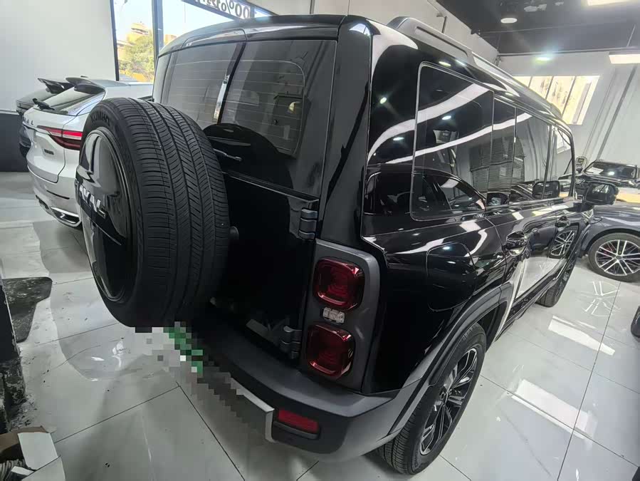 Haval Raptor New Energy 2023 car image #10