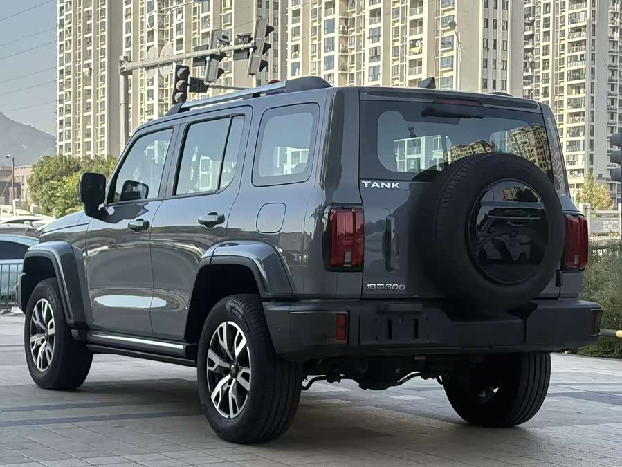 Tank 300 2023 car image #10